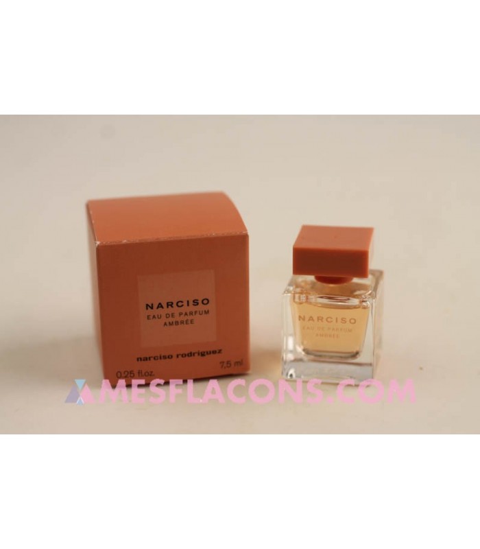 Narciso - ambrée (new 2020) - MINIPROFUMI : Flaconi in miniatura di  profumo, profumi collezione.