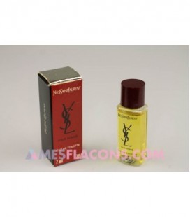 Ysl