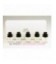 Coffret - Zara, Emotions vibrants cities discovery set