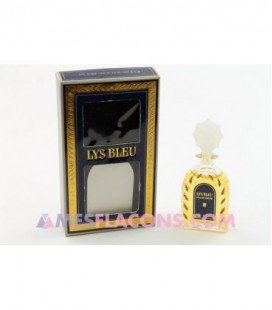 Lys Bleu