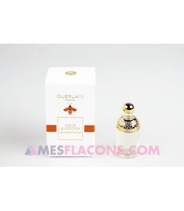 Aqua allegoria - Mandarine basilic